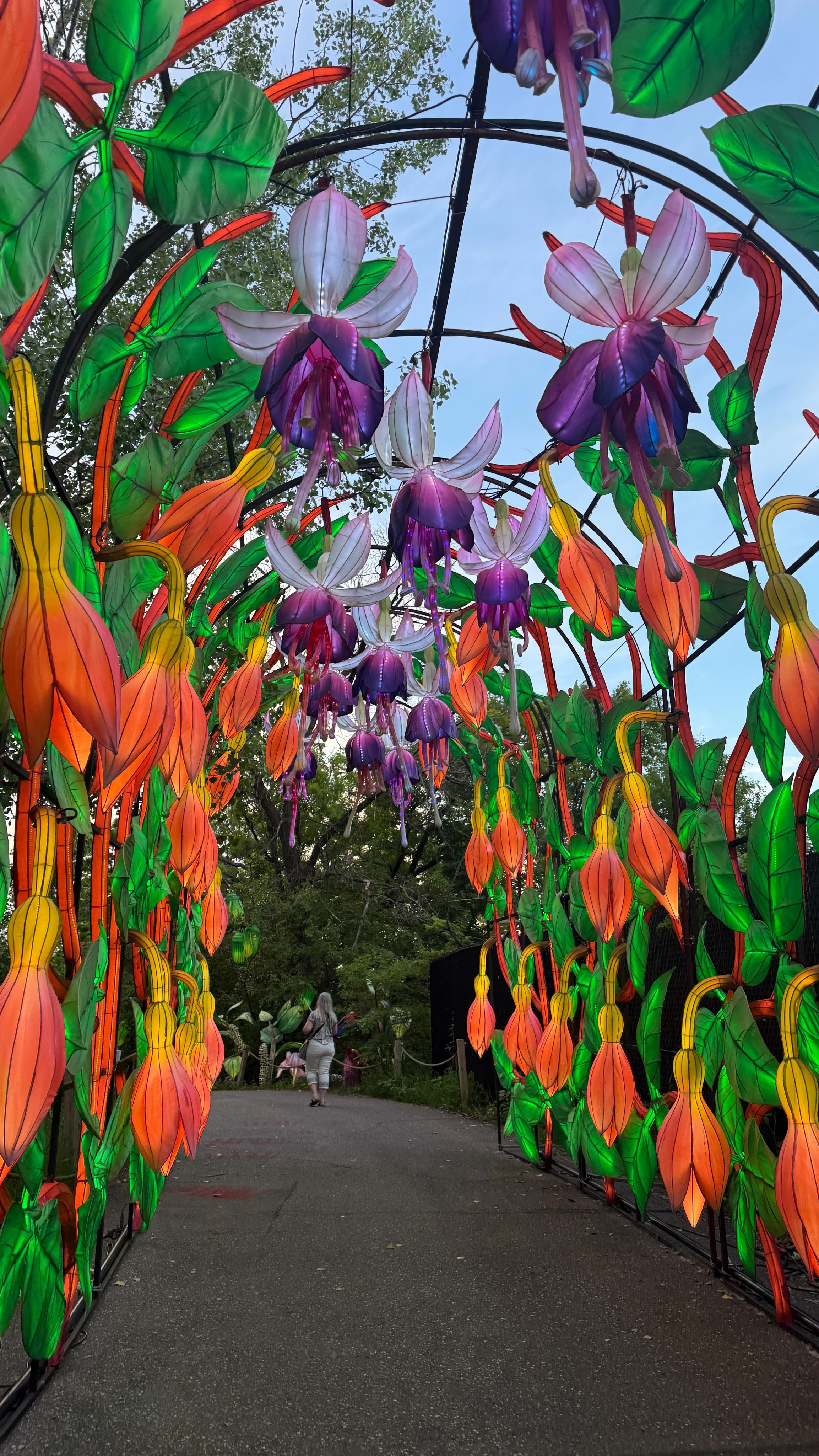 Minnesota’s newest summer night experience is officially here!

Wanderlight transforms the Minnesota Zoo into a glowing after-dark trail filled with larger-than-life illuminated animal lanterns and immersive light displays. 

We spent the evening wandering through the lights, and it was such a fun way to explore the zoo after hours! 

Would you add this to your Minnesota summer bucket list?

#mnzoo #visitmn #zoo #summerbucketlist #lighttrails