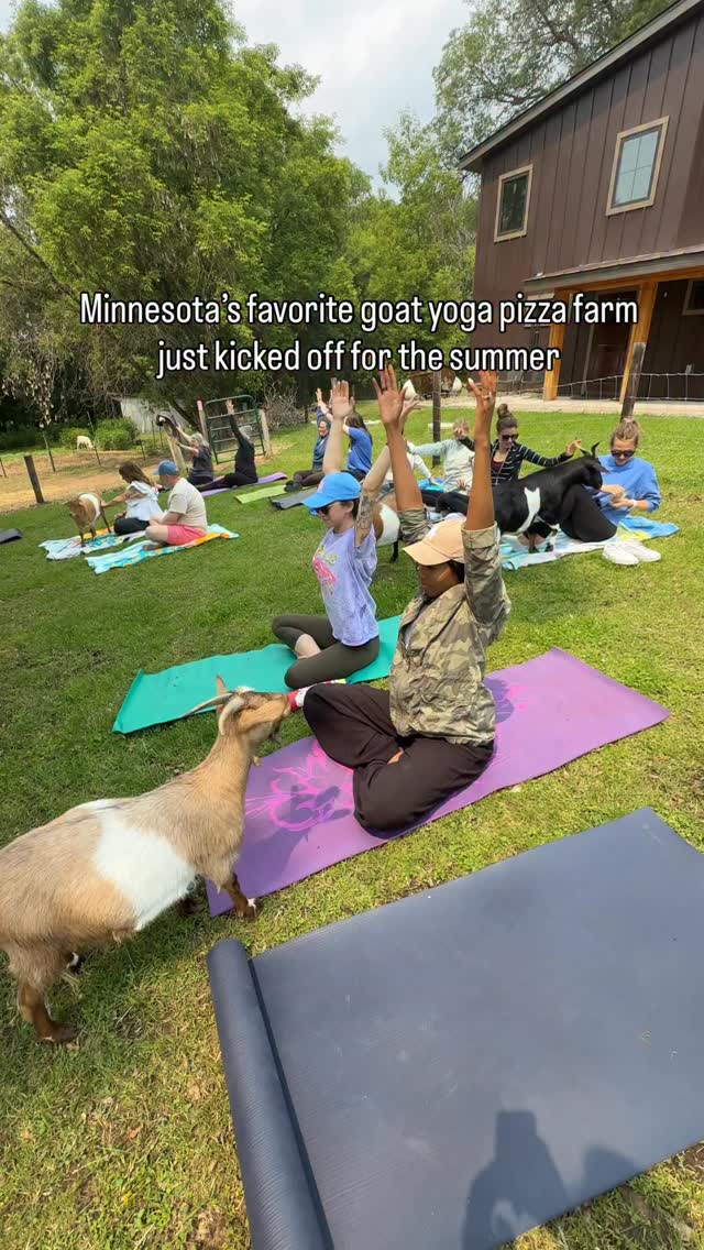 If you haven’t tried goat yoga yet, you’ll want to give this one a save! 

📍 @alpha_omega_farm 🐐🐐🐐

You can sign up for a class now through fall! It’s $45 and admission gets you the full goat yoga class + wood fire pizza on site after you’ve vinyasa’d with goats 😆. 

A fun one to do with the girls! 

#goatyoga #pizzafarm #exploremn #minnesotasummer