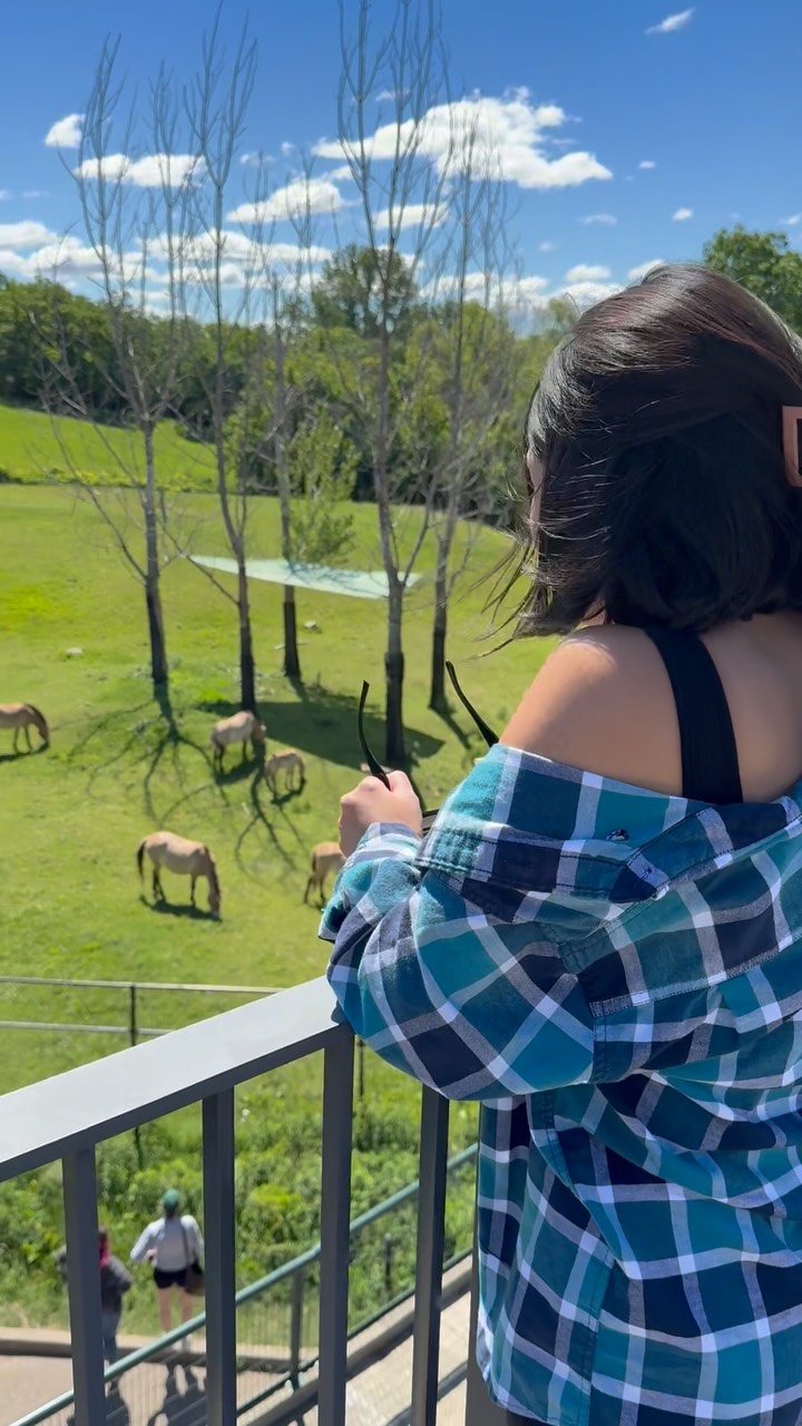 If you’ve only explored the @mnzoo from the ground, you’re missing the best view. 👀

Walking the Treetop Trail completely changed how we experienced the zoo, with elevated views that almost don’t feel like you’re at a zoo anymore!

📍Save this one for your next visit

#exploremn #mnzoo #visitmn #twincities #gifted