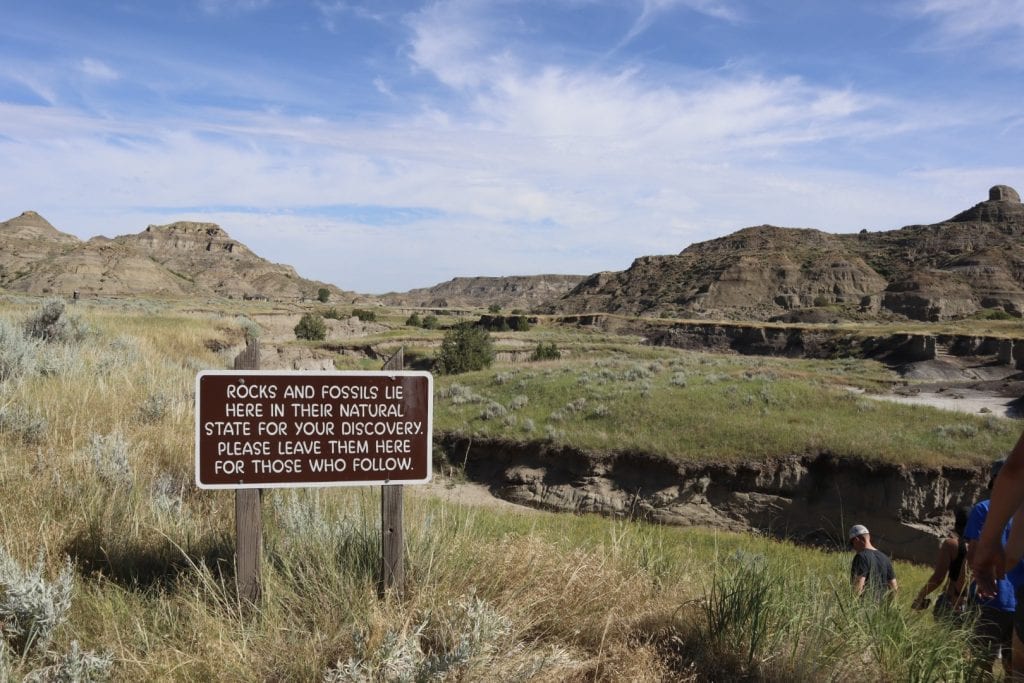Landscape image of Theodore Roosevelt National Park 