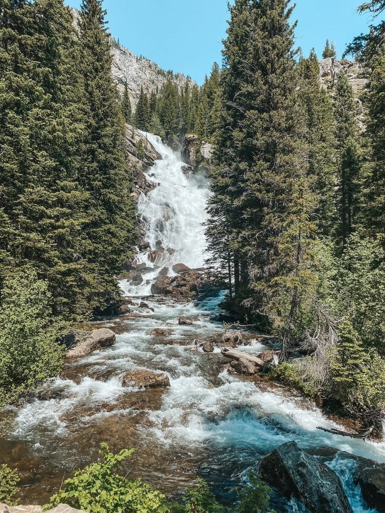 Waterfall between the pine trees at Grand Teton National Park