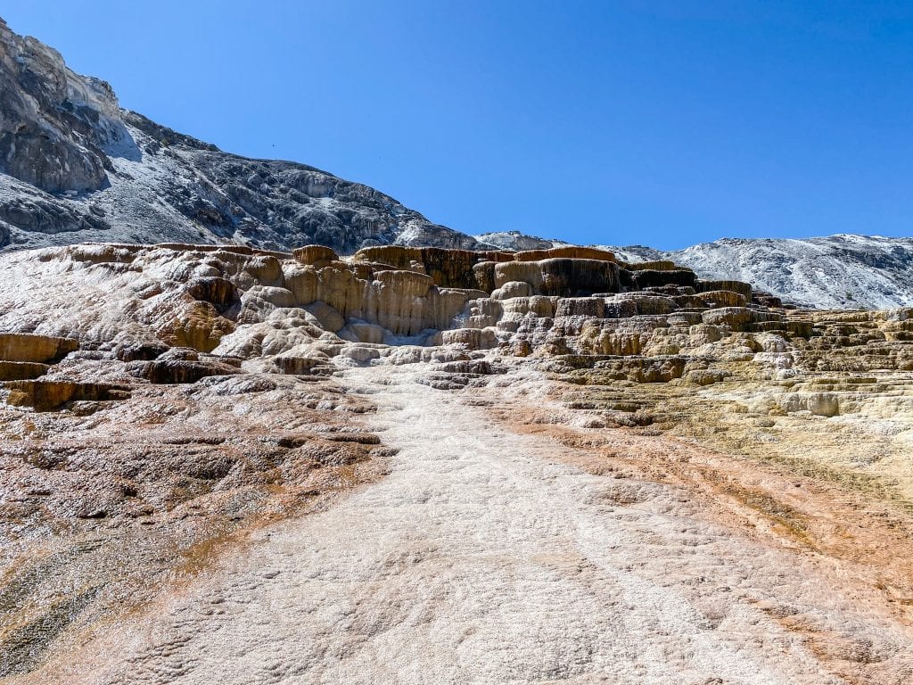 Mammoth Hot Springs in Yellowstone National Park
