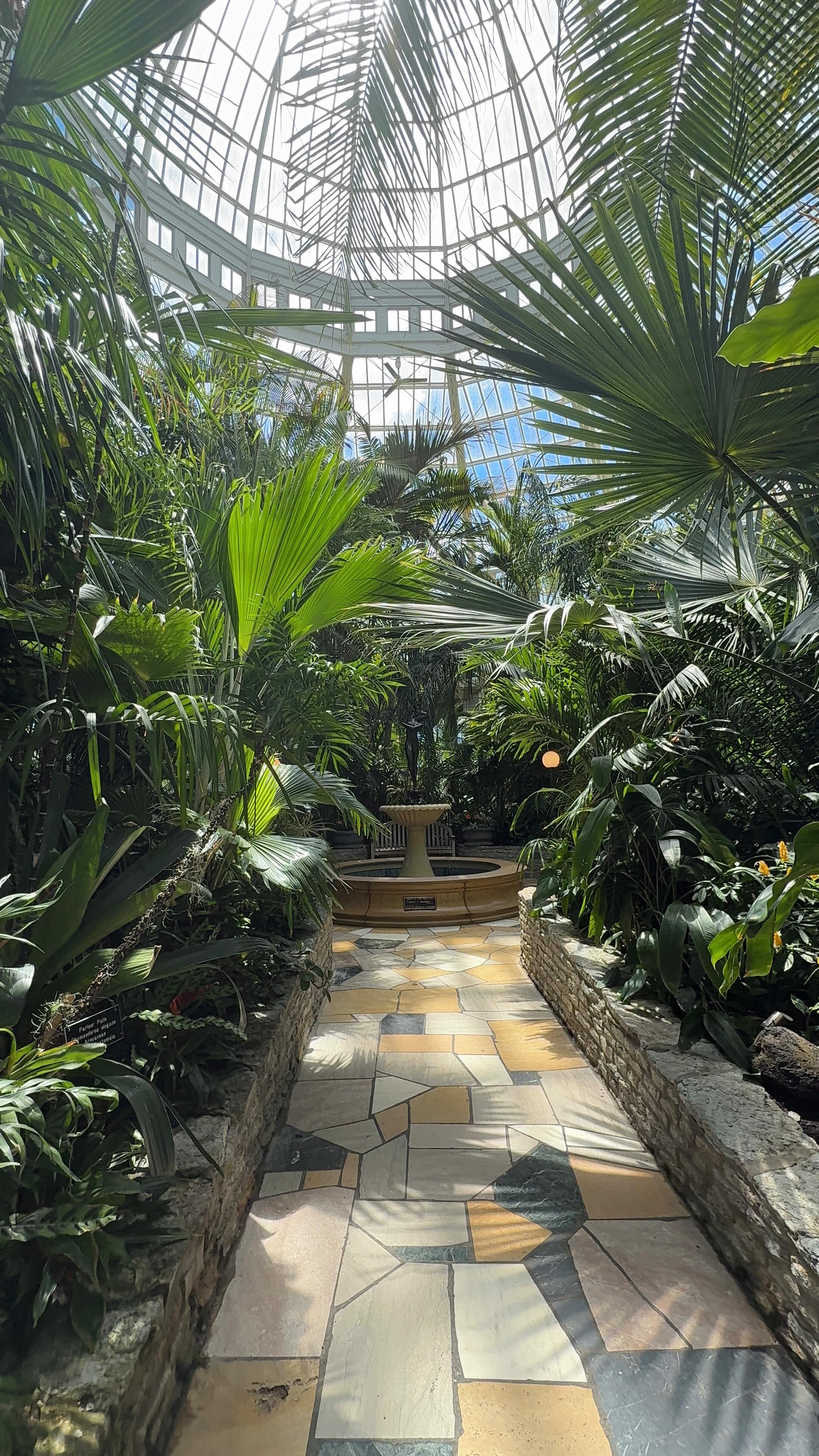 Enjoying little day adventures while I’m on maternity leave and reminded myself just how magical the Conservatory is at Como Zoo. 

Fun fact: I did my senior pictures here in high school 😆🤸🏾‍♀️

📍Como Zoo Conservatory - Free to enter but donations welcome and encouraged! 

#todomn #minnesotszoo #travelmn #conservatory