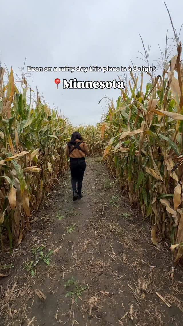 First time visiting this Minnesota apple orchard and we loooove!! 

📍@seversfestivals

Live music, animals, and the largest corn maze we’ve ever seen!! Can’t believe this spot is located in Shakopee, Minnesota and we hadn’t visited before! Definitely will be an annual stop on our fall bucket list from now on. 

Thanks for having us!! @seversfestivals