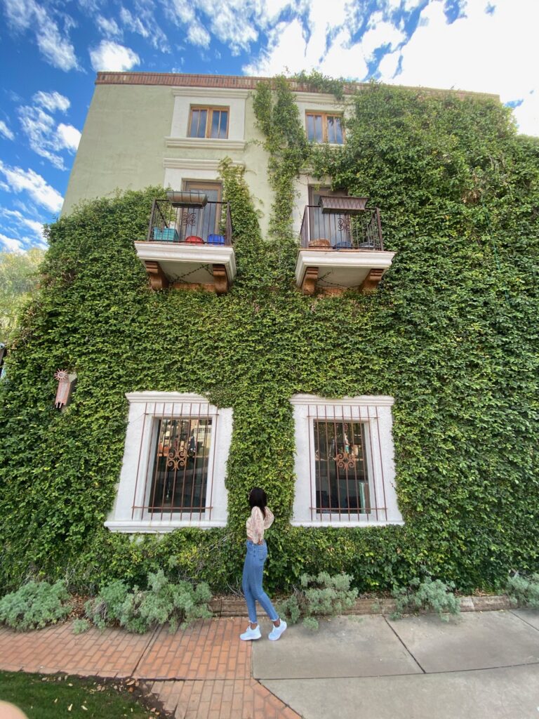 Green plant wall